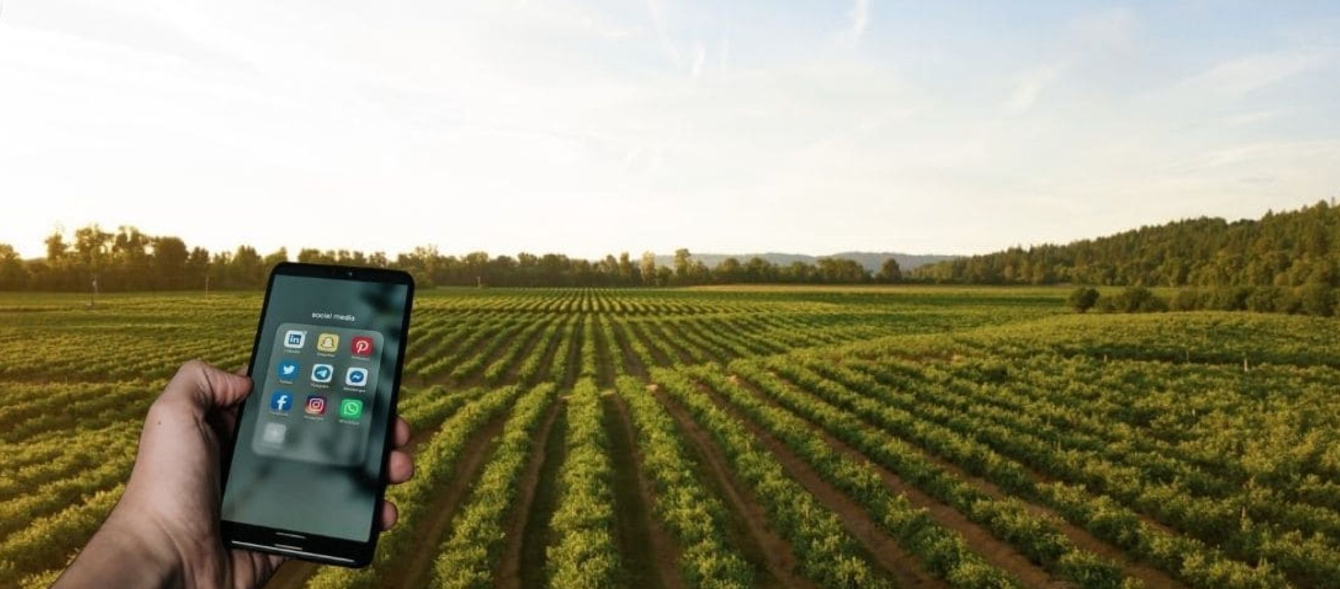 Photo for: Social Media for Wineries: Cracking Success in a Crowded Market
