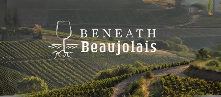 Photo for: Wines of Beaujolais To Host A Seminar at 2024 USA Trade Tasting