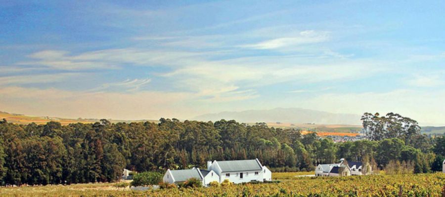 Photo for: Pinotage Culture Embodied at Diemersfontein Wine and Country Estate