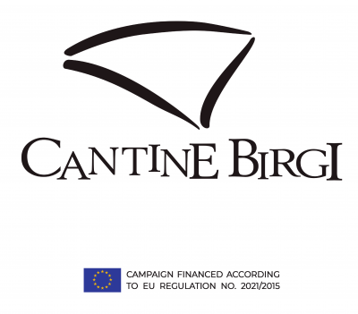 Logo for:  BIRGI VINI