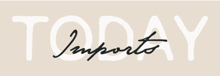 Logo for:  Today Imports