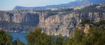 Photo for: Wineries from the Valencia Region of Spain