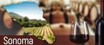 Photo for: 9 Wineries You Must Visit While In Sonoma County